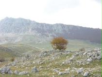 Gole di Celano - Monte San Nicola - Aielli