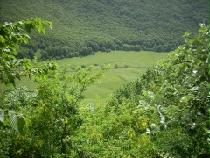 Dalla Val d'Arano ai prati di Santa Maria