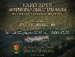 Icona Notizie