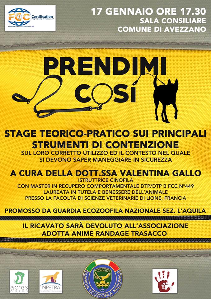 Stage teorico-pratico sui principali strumenti di contenzione  ad Avezzano